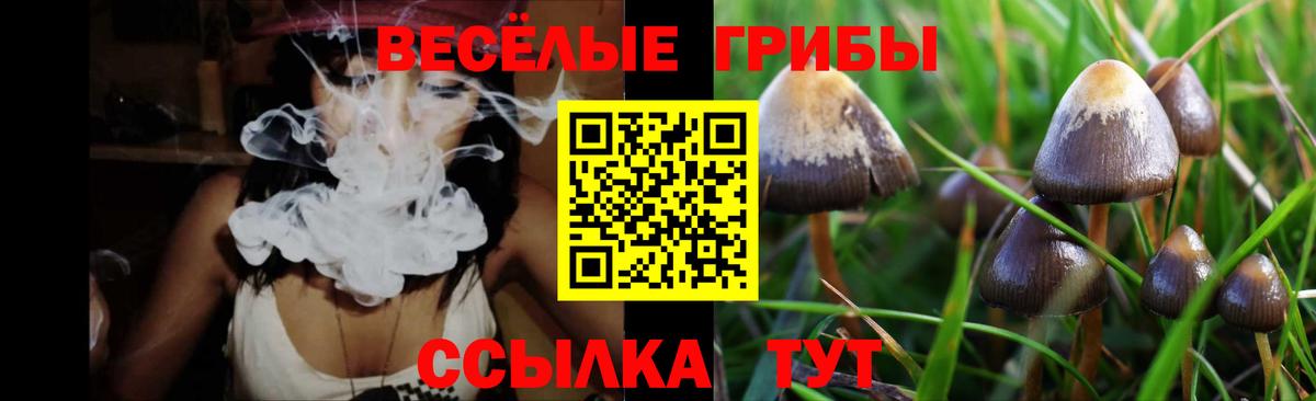 Орехово-Зуево  Псилоцибиновые грибы GOLDEN TEACHER  Вход с VPN 